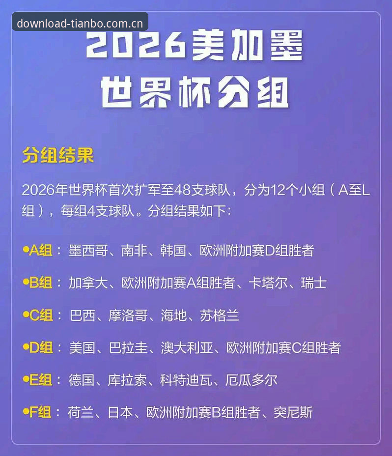 揭秘：2026世界杯英国警员仅3人赴美，天博老用户聊聊背后的细节
